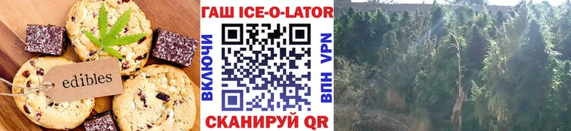 Canna-Cookies марихуана гидра ссылки Разумное