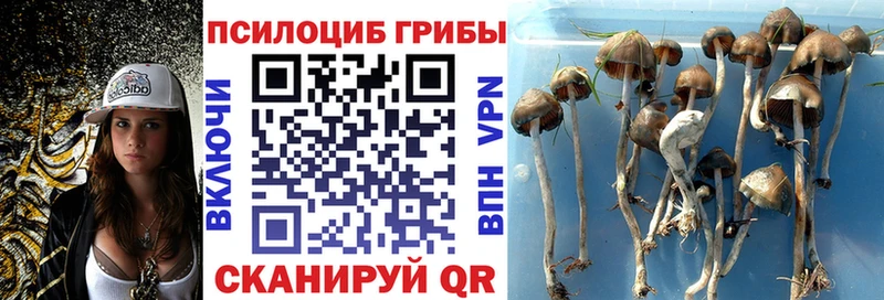 Псилоцибиновые грибы Psilocybe  Разумное 